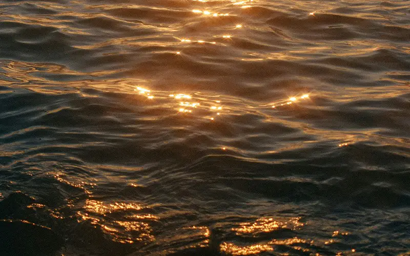 Promociones - Descuentos por reserva directa