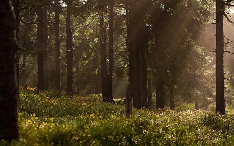 Promociones - Pagá en pesos argentinos, reales o pesos uruguayos